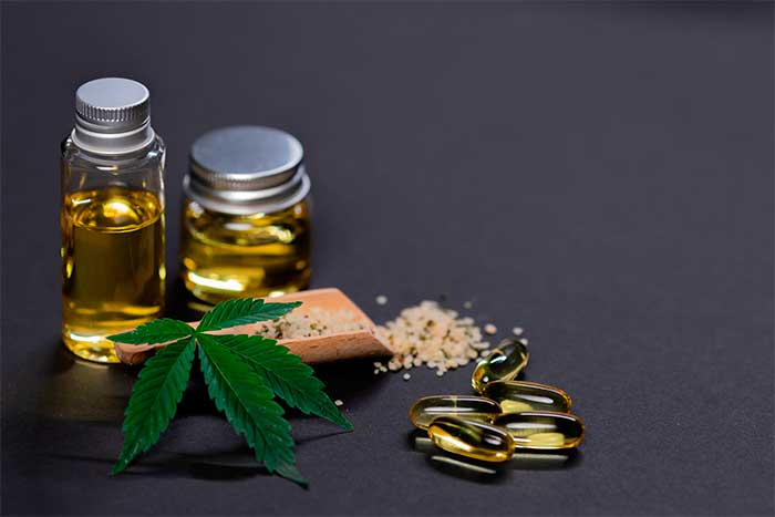 What You Need to Know About CBD Oil for Dogs