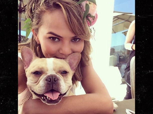 Chrissy Teigen Mourns the Death of Her 10-Year-Old French Bulldog