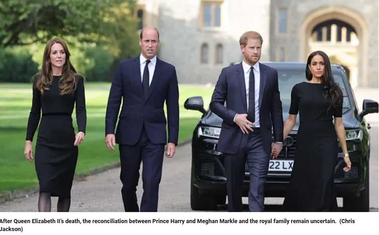 New Book Reveals Meghan Markle Controls Prince Harry, Treats Staff Badly