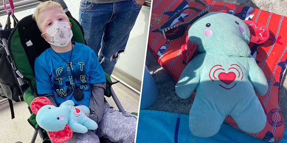 Mother Grieves for Losing Stuffed Elephant Containing Son’s Ashes in Disney World